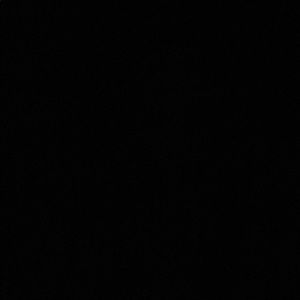 Meet your Posher, Kitty